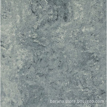 Porcelain Tile (6137P)